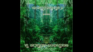 10 Petran - Voyager of Psychedelic States