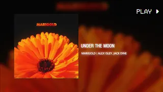 under the moon | alex isley, jack dine // 432Hz conversion