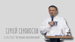 25.02.2024. Сергей Сенокосов. "Источник энергопитания.”