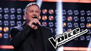 Lars Sollie - I See Fire | The Voice Norge 2017 | Blind Auditions