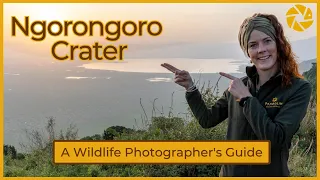 ONE DAY in the Ngorongoro Crater - Is that enough time?