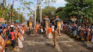 ഗുരുവായൂർ ആനയോട്ടം | Guruvayur Anayottam 2022 | Guruvayur Elephant Race | Ravi Krishnan Elephant 🔥😍