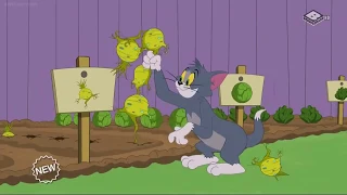 The Tom and Jerry Show#2