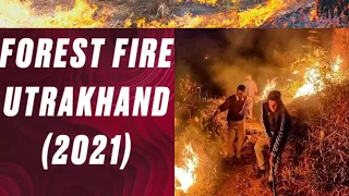 #FOREST fire 🔥 in Uttarakhand....what are the main factors of this fire ...