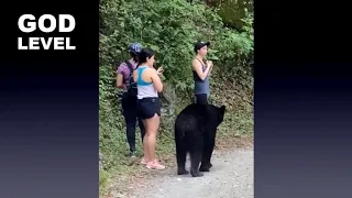 Horrible Black Bear Attacks 3 Women in Mountain Jungle