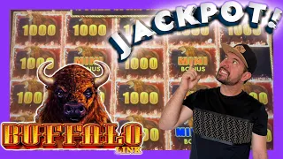 Huge Jackpot on Buffalo Link!! $20 spin Bonus Pays Off! Live slot Play at casino 🎰