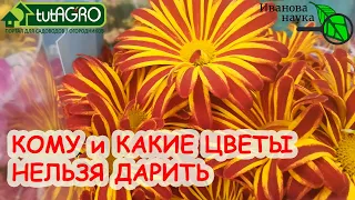 От ЭТИХ ЦВЕТОВ одни ПРОБЛЕМЫ. Кому НЕЛЬЗЯ дарить цветы? Что же подарить на 8 Марта и 14 февраля?