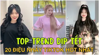 Siêu Cuốn Top 20 Điệu Nhảy Tik Tok Được Sử Dụng Nhiều Nhất Giữa Tháng 1/2023 || TikTok Việt Nam