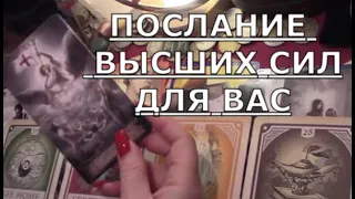 💌 ПОСЛАНИЕ  от ВЫСШИХ СИЛ ДЛЯ ВАС на что вас благословили 🕊️ что они хотят сказать вам таро #tarot