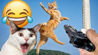 When a silly Cat becomes your best friend😻🐶The funniest animals and pets 🤣#2