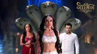 Naagin 3 Family Members ✨💙 ||#youtube#shorts#viral#trending