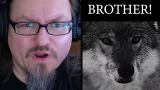 INSOMNIUM - Godforsaken feat. Johanna Kurkela ( Reaction and Commentary )