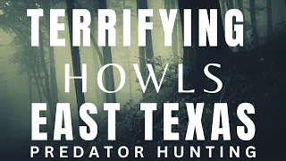 HOWLS OF AN UNKNOWN CREATURE (EAST TEXAS) PREDATOR HUNTING