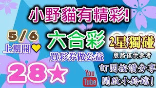 5/6 六合彩 小野貓有"精彩"二星獨碰版路分享 上期開心🧡28⭐⭐小野貓會陪你開⭐~