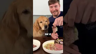 feeding a dog 1 vs 10 000 steak 1