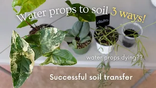 How to transfer WATER propagations to SOIL successfully 3 different ways! | Propagating with Fluval