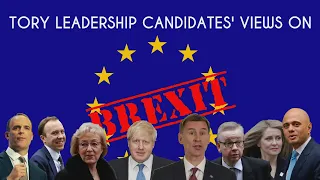 Brexit means Brexit? How the Tory leadership contenders see it