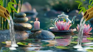 Relaxing Music 247  Stress Relief Music, Meditation, Spa, Sleep, Zen, Calming Music, Study, Yoga