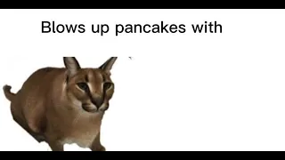 Blows Up Pancakes with MIND