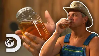 Judges Give Their Verdict On Frozen Applejack | Moonshiners: Master Distiller