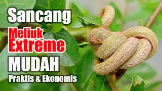 PROGRAM SANCANG LIUKAN EXTREME MUDAH PRAKTIS DAN EKONOMIS