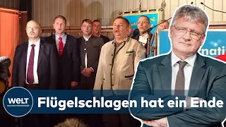 BITTERER ABGANG: AfD-Chef Meuthen wirft hin und verlässt Partei | WELT Thema