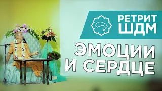 2019.06.05 - Эмоции и сердце (Ретрит ШДМ, Москва) - Бхакти Вигьяна Госвами