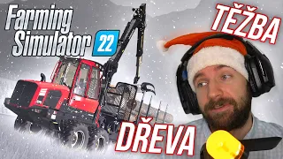 🎄 TĚŽBA DŘEVA! | Farming Simulator 22 Multiplayer | Vánoční Event #02 🎄