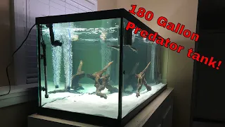 How I setup my 180 gallon predator tank