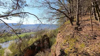 Wandern: Miltenberg nach Freudenberg