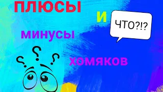 Все ПЛЮСЫ и МИНУСЫ содержания джунгарского хомяка🐹🐭