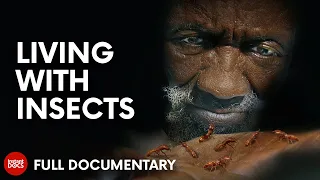 The incredible power of ants in Cameroon | FULL DOCUMENTARY