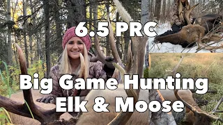 6.5 PRC Big Game Hunting: Elk & Moose