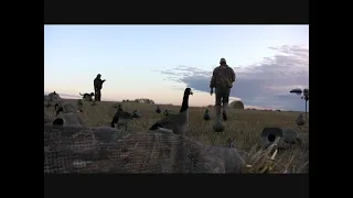 2008 Saskatchewan Waterfowl Hunt