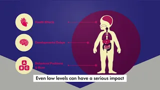 How to Test for Lead Poisoning