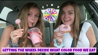 Letting the Wheel Decide What Color Food We Eat for 24 Hours ~ Jacy and Kacy