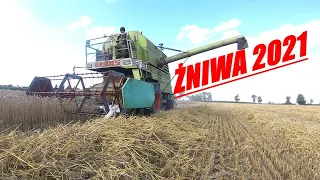 🔥Żniwa Z Adamem Mechanikiem Na Ocieplenie Klimatu 🔥 CLAAS Mercator W Akcji 🔥