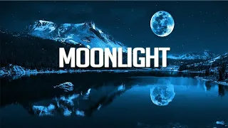 Moonlight | Chillstep Mix