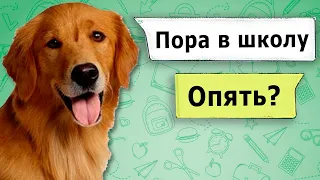 ЕСЛИ БЫ ЖИВОТНЫЕ УЧИЛИСЬ В ШКОЛЕ 3