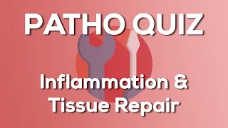 Inflammation & Tissue Repair (Nursing) - Introduction to Pathophysiology