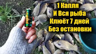 1 Капля заставляет всю рыбу клевать! Мало кто из рыбаков знает это!