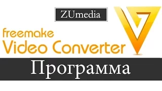 The program freemake video converter