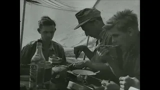 Deutsches Afrikakorps personnel dealing with flies in the Western Desert in 1941