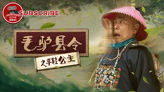 《毛驴县令之草鞋公主》Donkey magistrate –The Sandal Princess【电视电影 Movie Series】