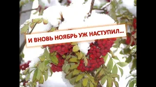 И вновь ноябрь уж наступил...