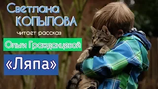 ДЛЯ ДЕТЕЙ И ВЗРОСЛЫХ!!! «ЛЯПА И ЧЁРНАЯ КОШКА» читает СВЕТЛАНА КОПЫЛОВА / рассказ Ольги Гражданцевой