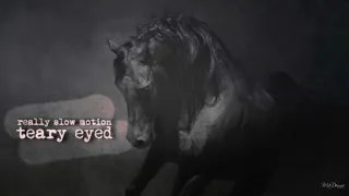 really slow motion | teary eyed *horse heaven"