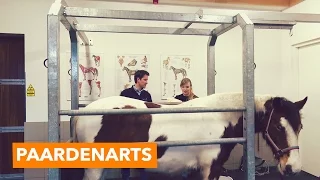 Op bezoek bij een paardenarts | PaardenpraatTV