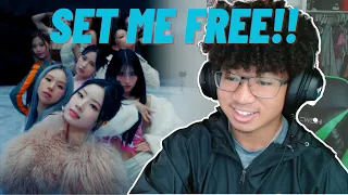 TWICE "SET ME FREE" M/V REACTION!!