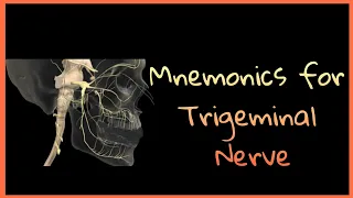 Mnemonics/Tricks for Trigeminal Nerve Branches! (Human Anatomy)